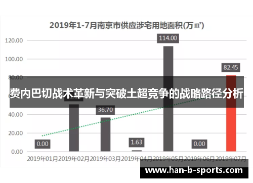 费内巴切战术革新与突破土超竞争的战略路径分析